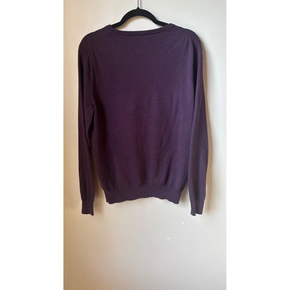 J.Crew Mens Small Purple V Neck Sweater Cotton Cashmere Blend Long Sleeve Knit